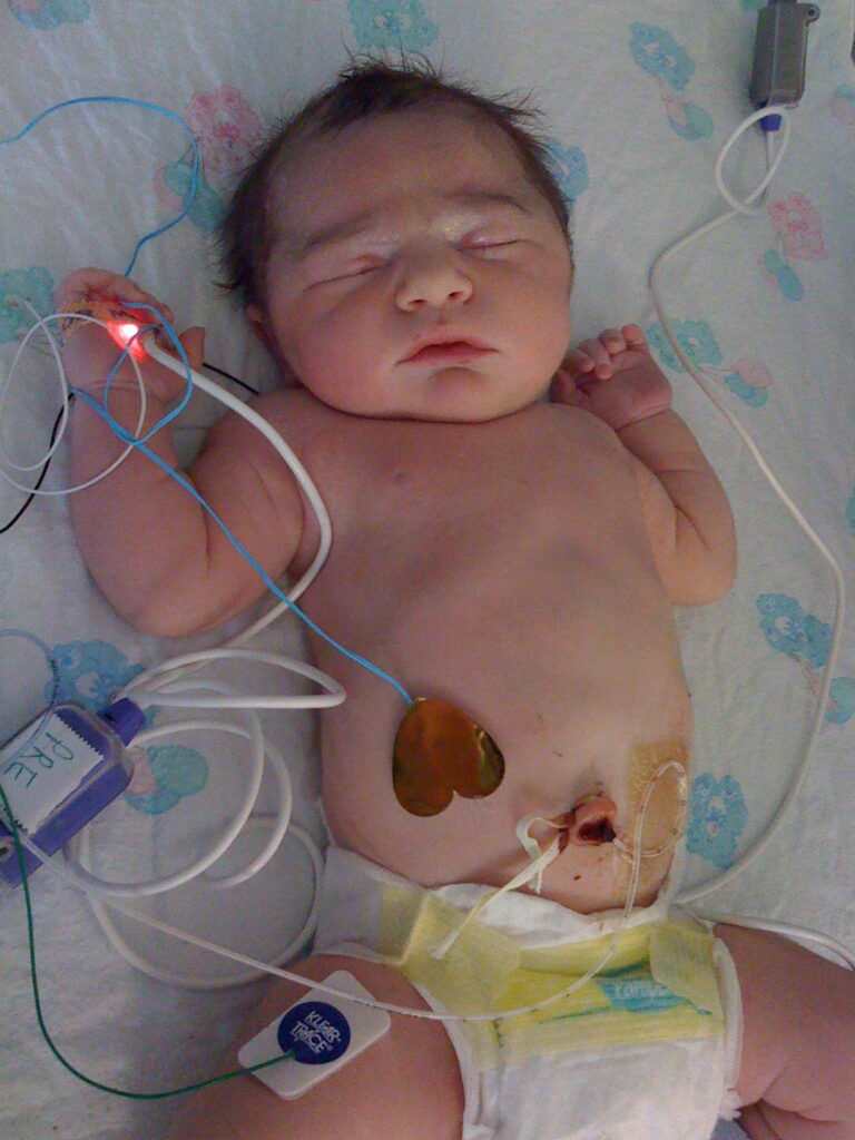 This image has an empty alt attribute; its file name is IMG_0233-768x1024.jpg